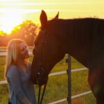 horse, sunset, eve-1750589.jpg